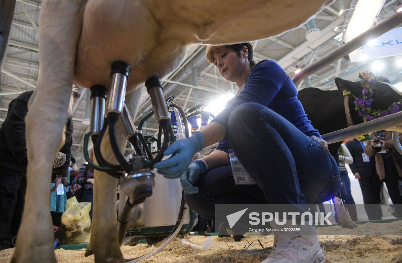 AgroFarm 2017 international specialized agricultural exhibition