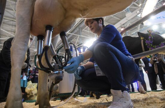 AgroFarm 2017 international specialized agricultural exhibition