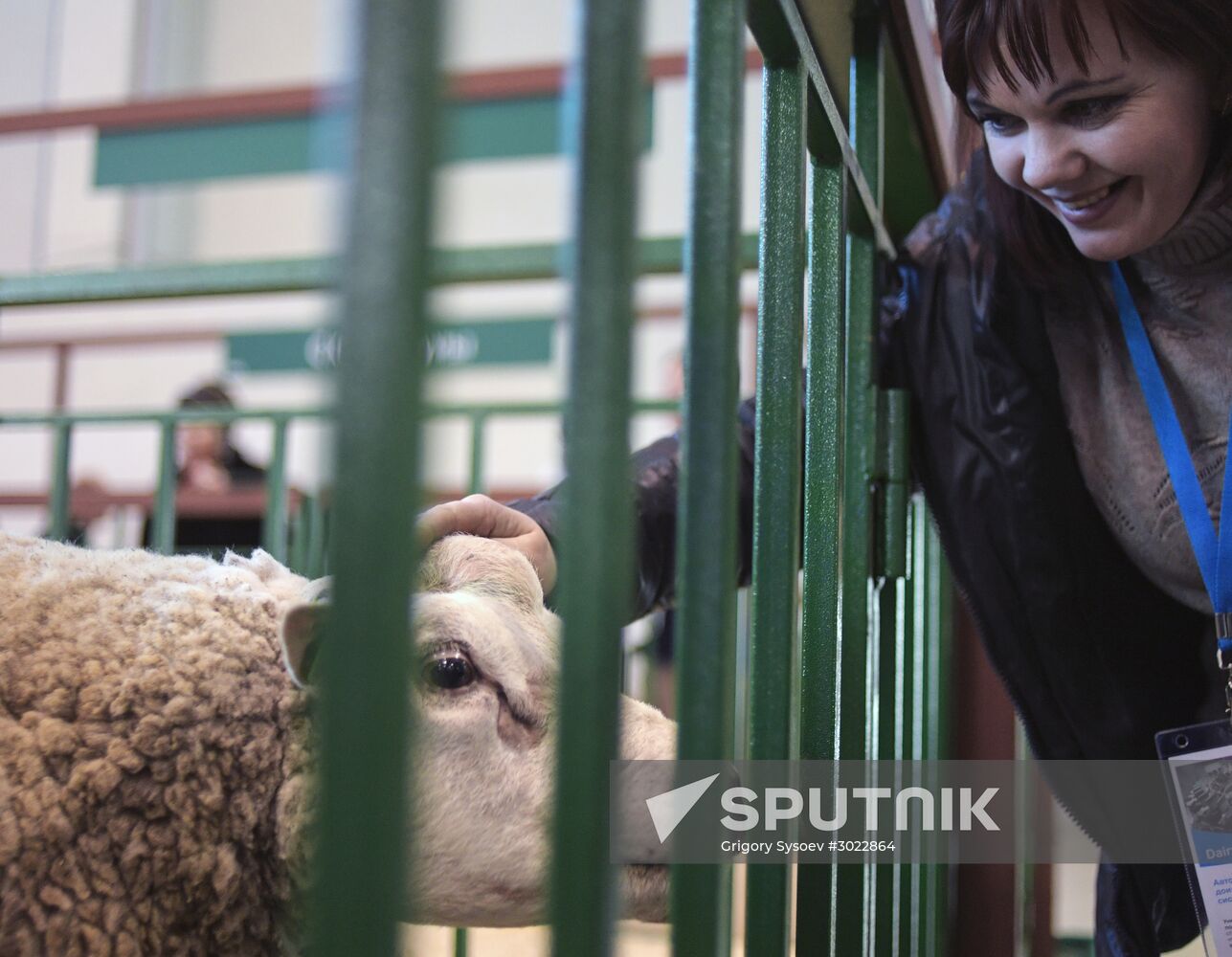 AgroFarm 2017 international specialized agricultural exhibition