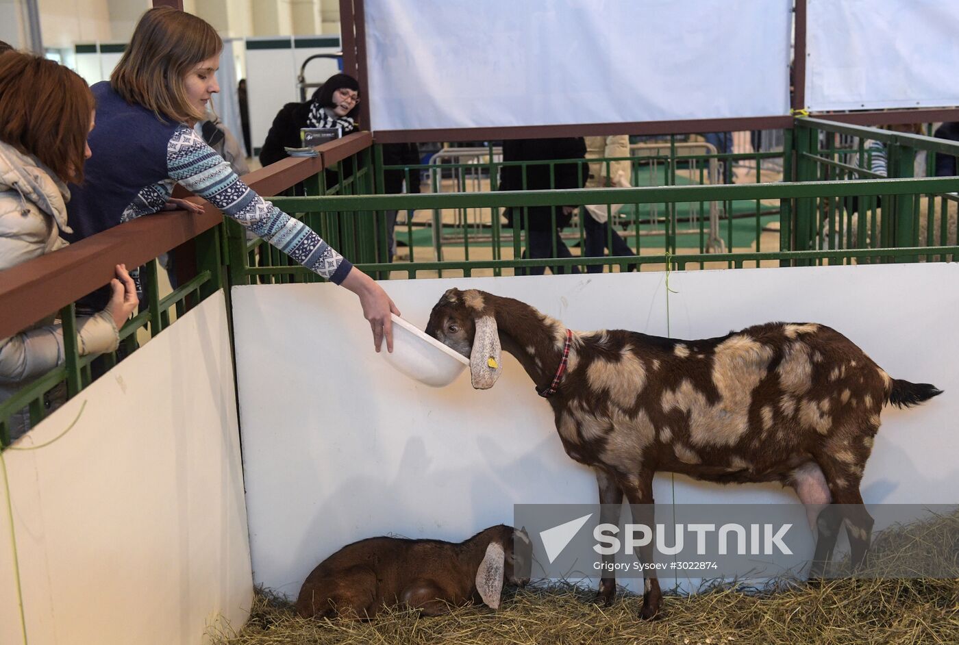 AgroFarm 2017 international specialized agricultural exhibition