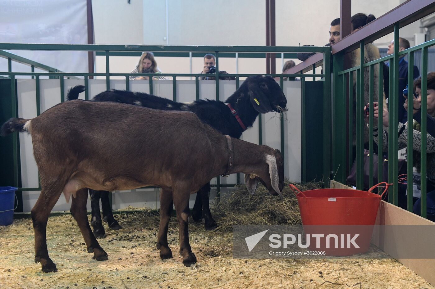 AgroFarm 2017 international specialized agricultural exhibition