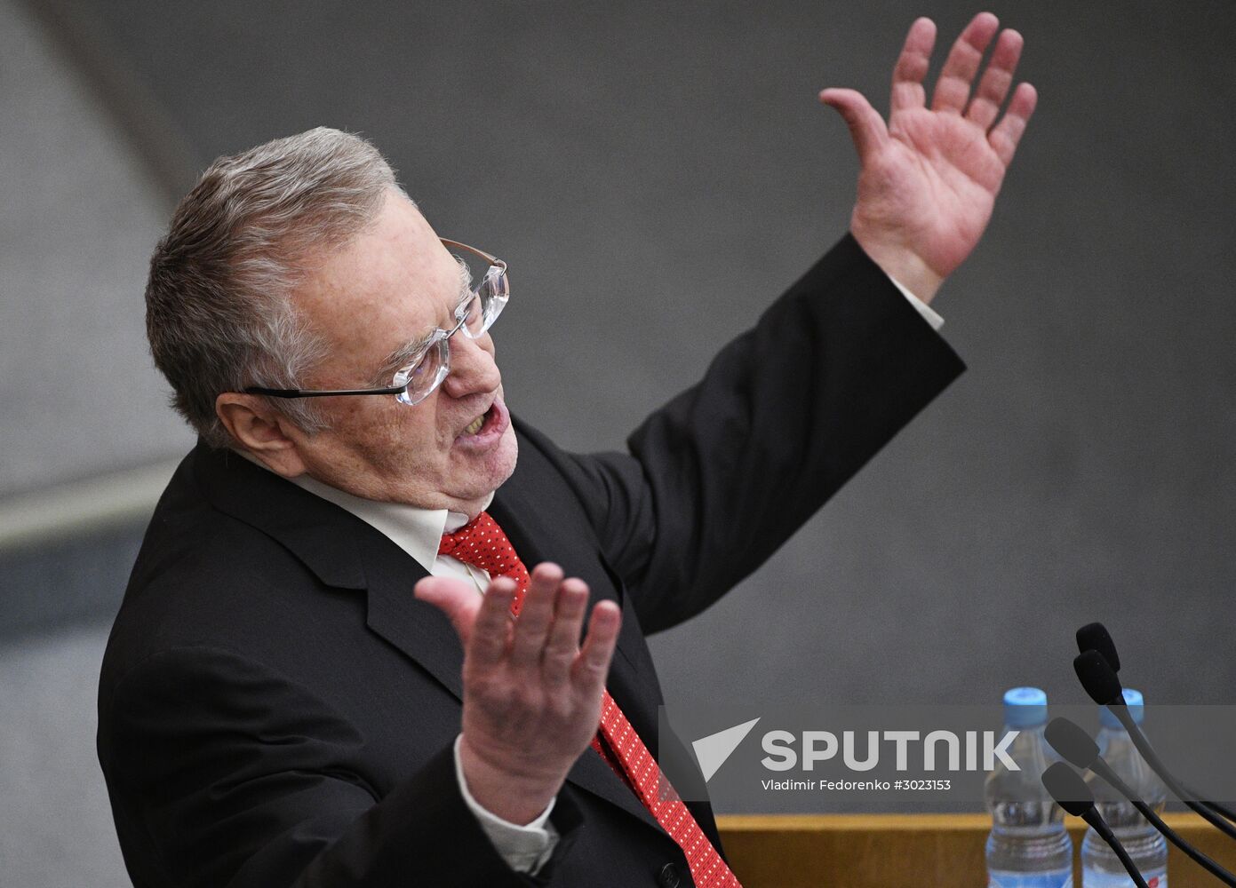 State Duma plenary meeting