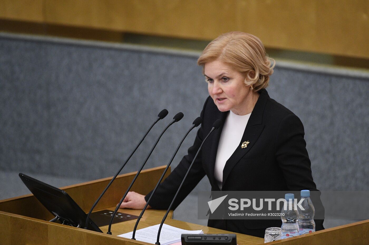 State Duma plenary meeting