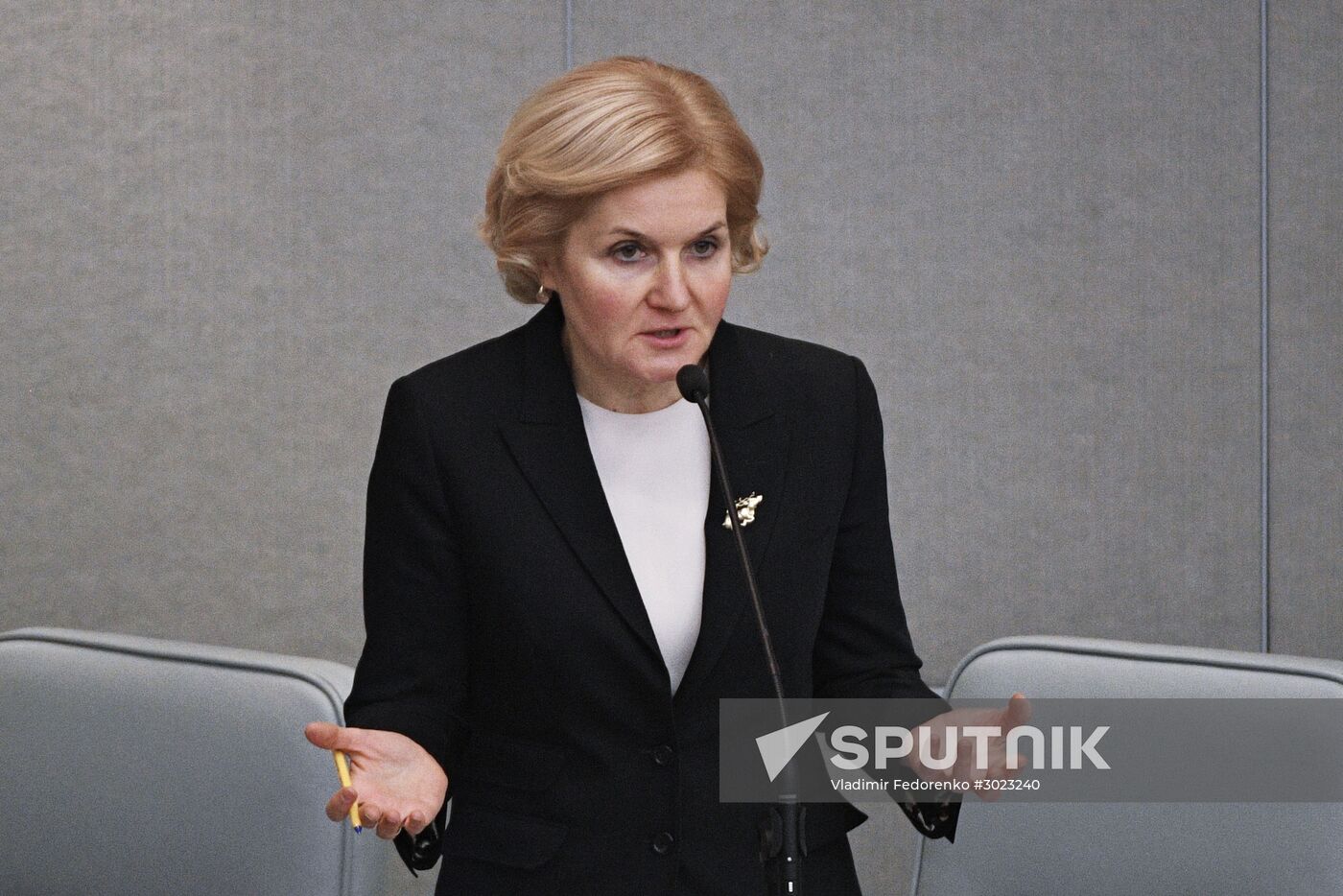 State Duma plenary meeting