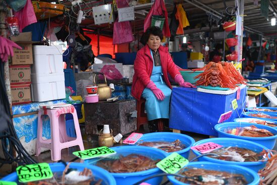 World countries. South Korea