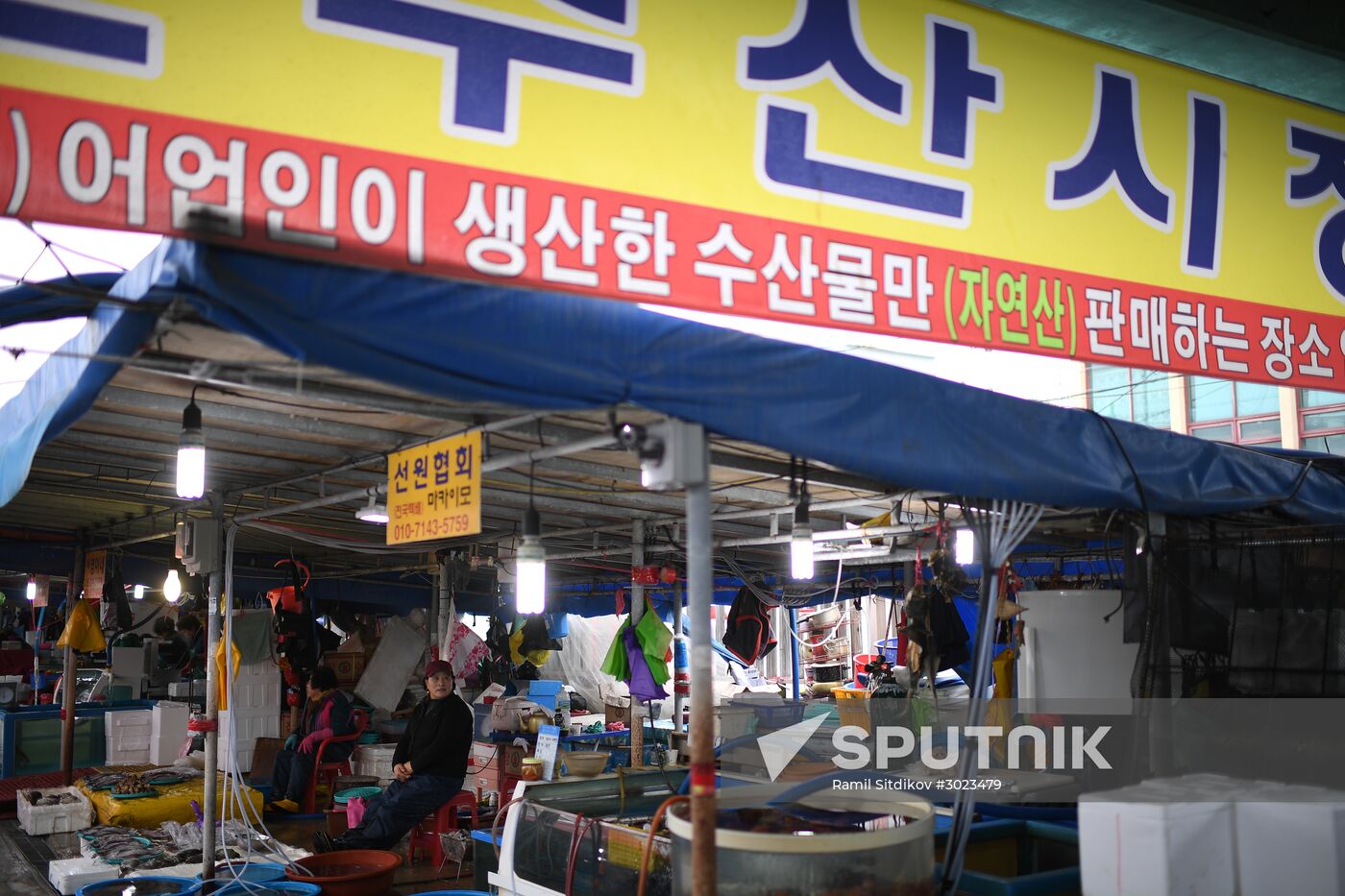 World countries. South Korea