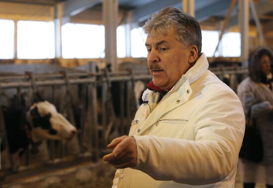 Lenin dairy state farm in Moscow Region