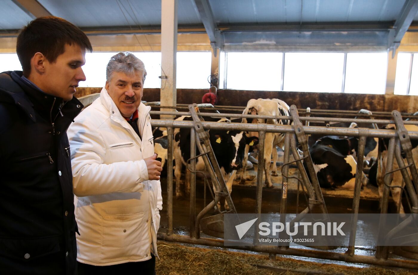Lenin dairy state farm in Moscow Region