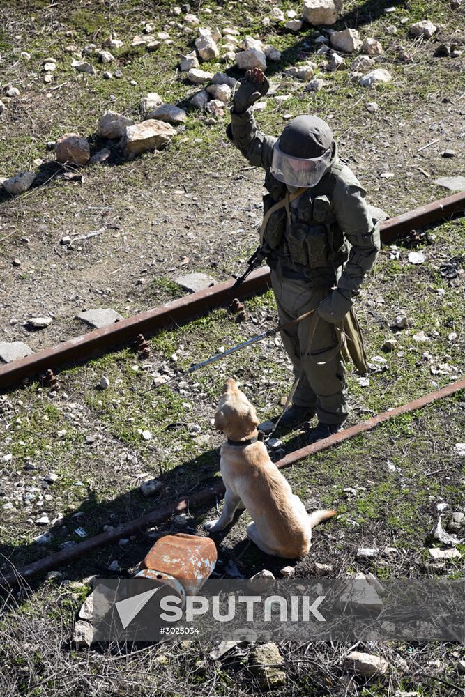 Russian military engineers demine transport infrastructure in Aleppo