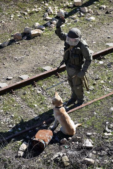 Russian military engineers demine transport infrastructure in Aleppo