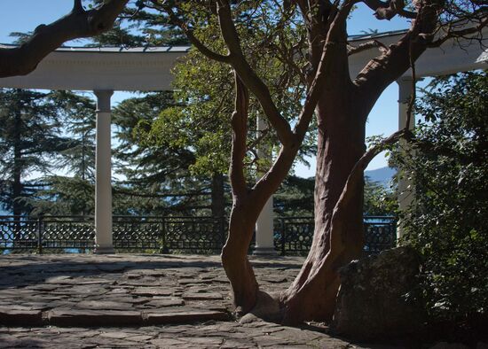 Nikitsky Botanical Garden in Crimea