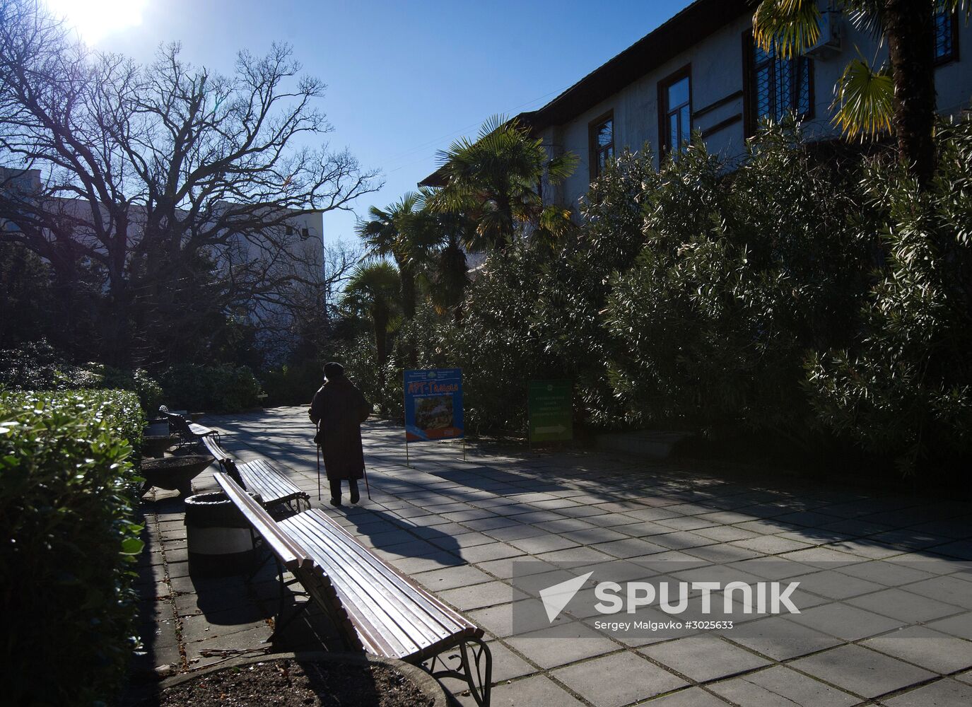 Nikitsky Botanical Garden in Crimea