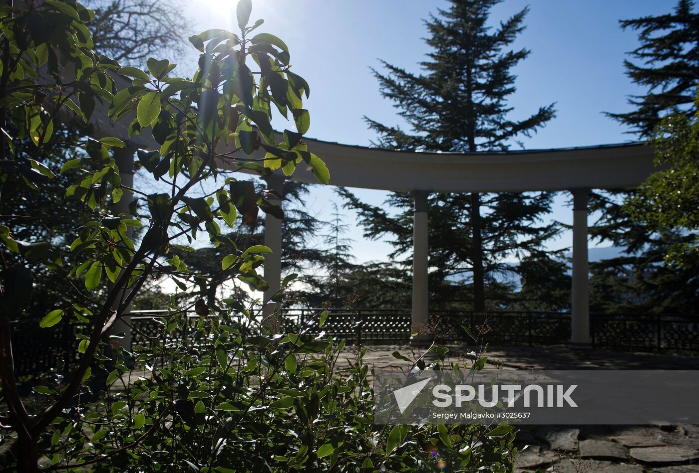 Nikitsky Botanical Garden in Crimea