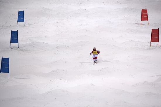 Freestyle Skiing World Cup. Moguls