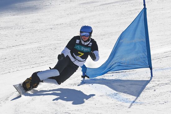 FIS Snowboard World Cup. Parallel giant slalom