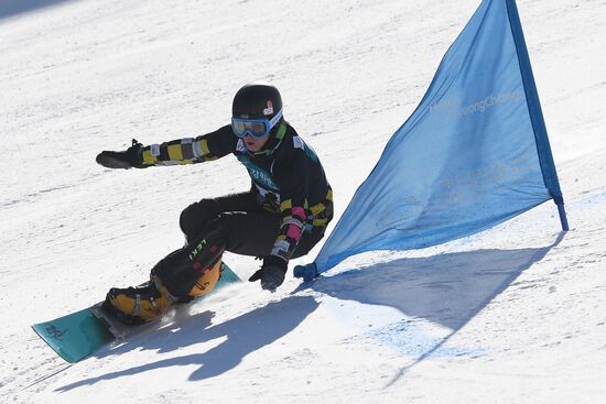 FIS Snowboard World Cup. Parallel giant slalom