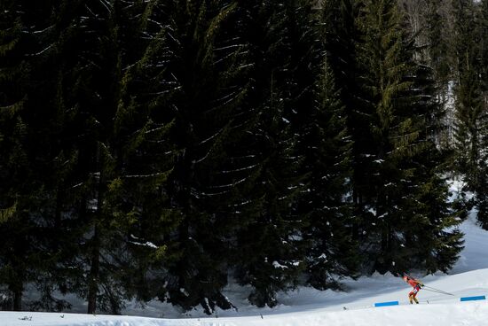 2017 Biathlon World Championships. Women's pursuit