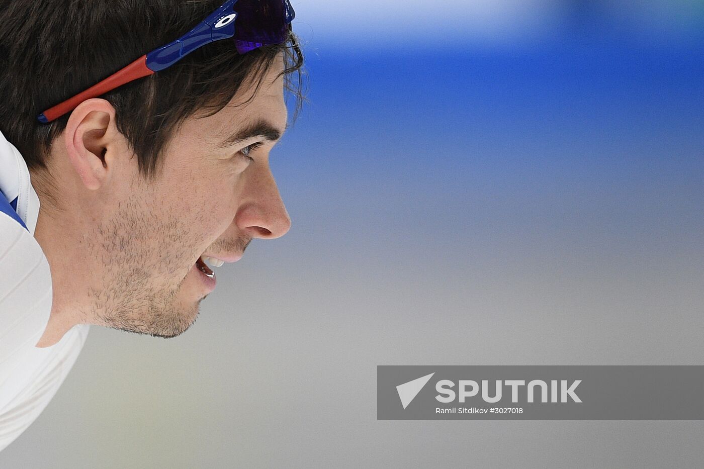 2017 World Single Distance Speed Skating Championships