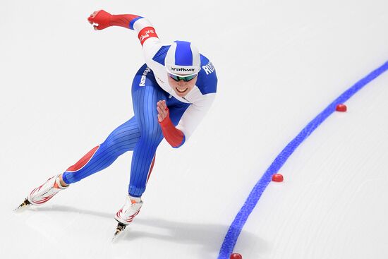 2017 World Single Distance Speed Skating Championships