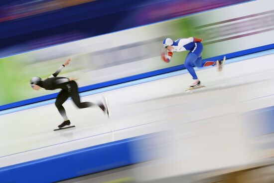 2017 World Single Distance Speed Skating Championships
