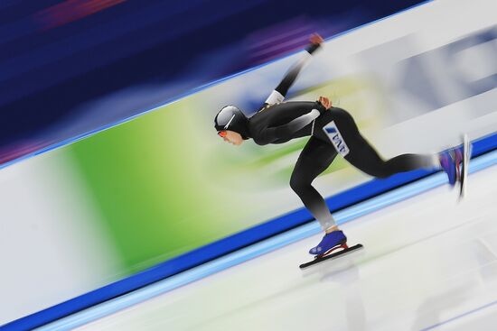 2017 World Single Distance Speed Skating Championships