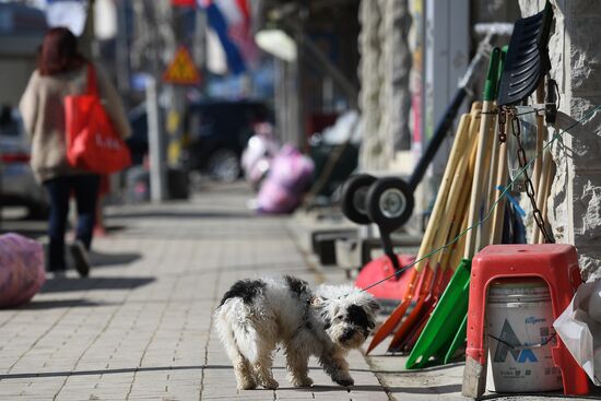 World countries. South Korea
