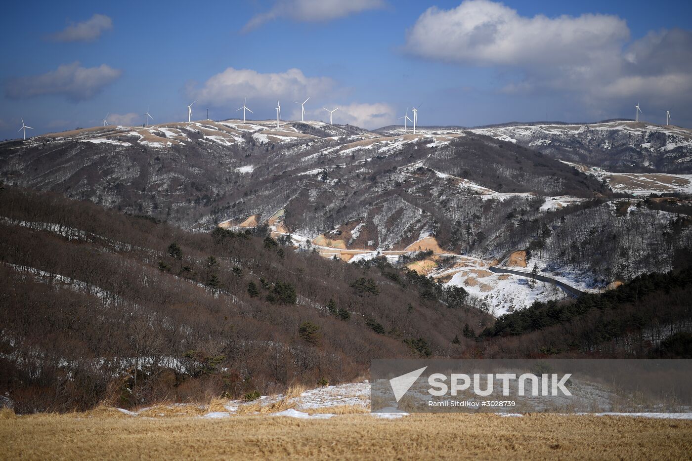 World countries. South Korea