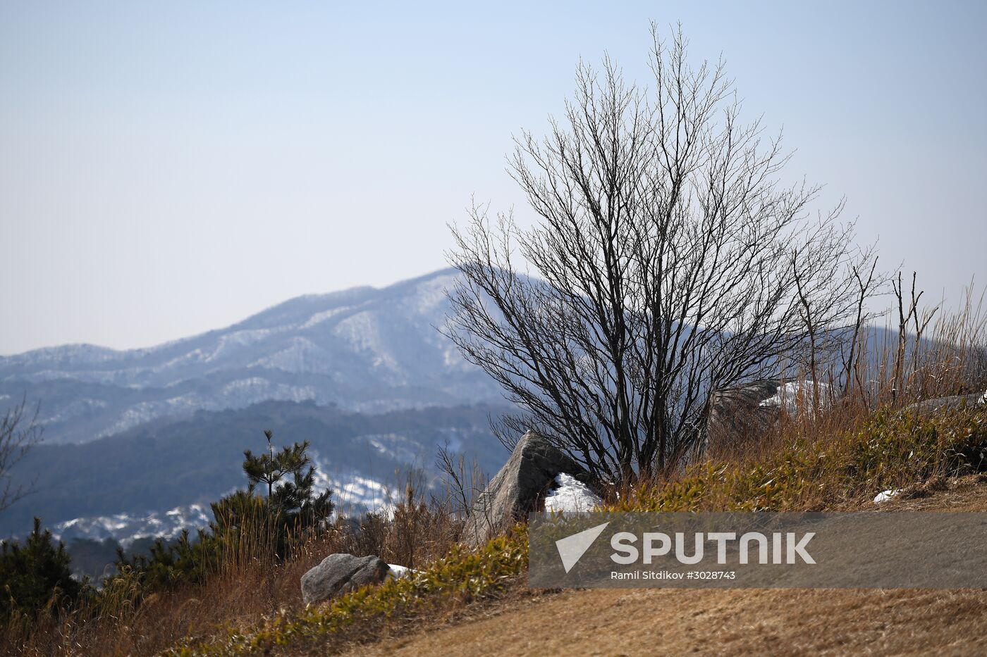 World countries. South Korea