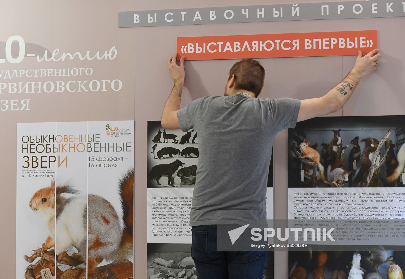 "Ordinary Extraordinary Animals" exhibition opens in Moscow