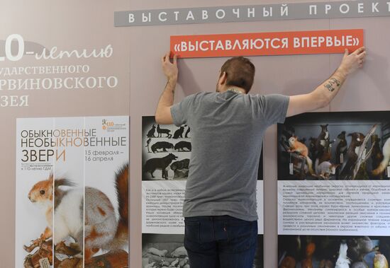"Ordinary Extraordinary Animals" exhibition opens in Moscow