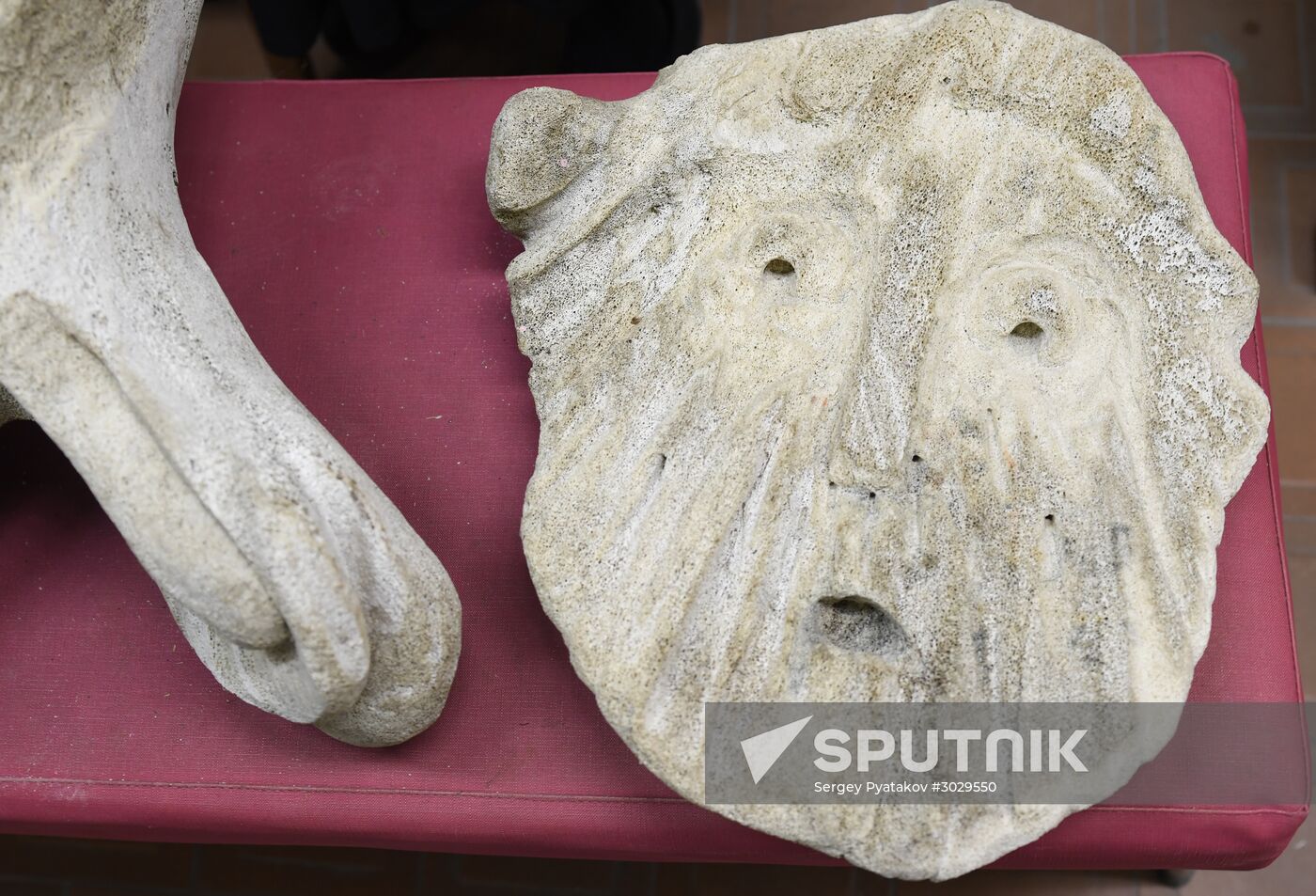 "Ordinary Extraordinary Animals" exhibition opens in Moscow