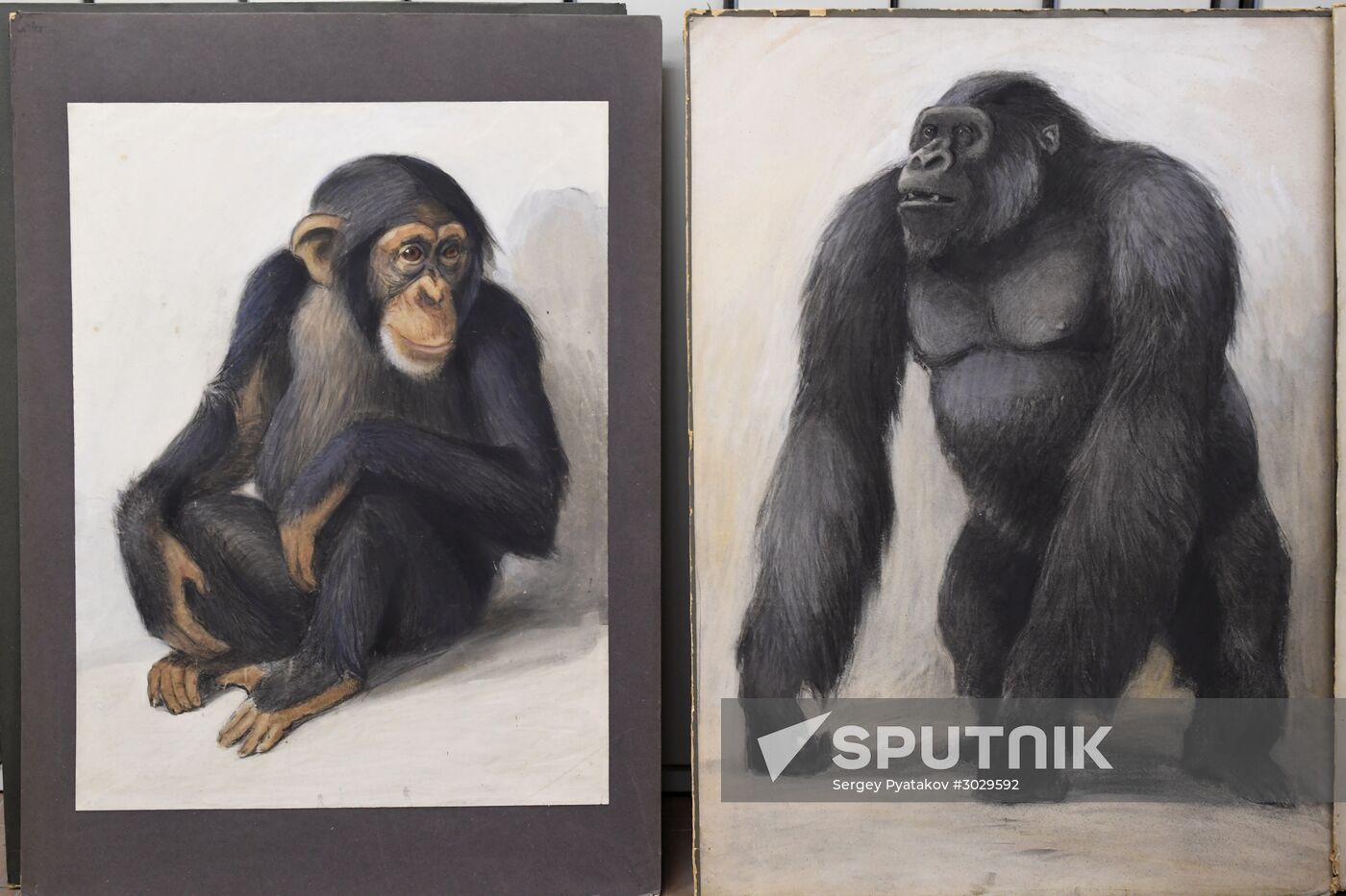 "Ordinary Extraordinary Animals" exhibition opens in Moscow