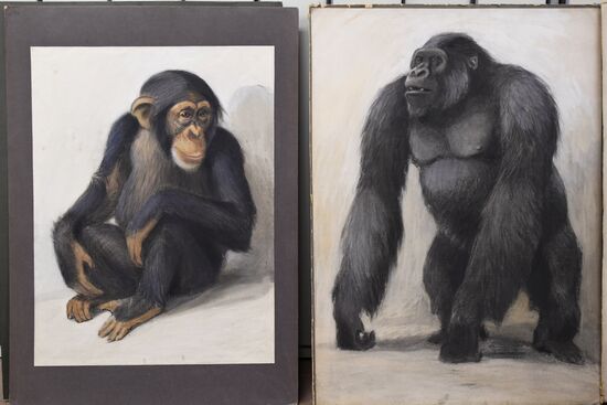 "Ordinary Extraordinary Animals" exhibition opens in Moscow