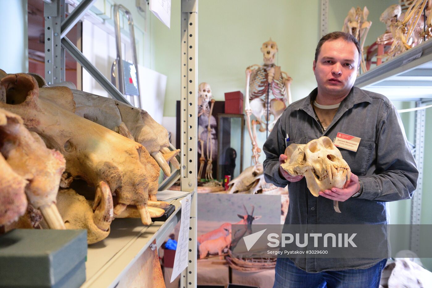 "Ordinary Extraordinary Animals" exhibition opens in Moscow