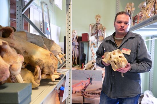 "Ordinary Extraordinary Animals" exhibition opens in Moscow