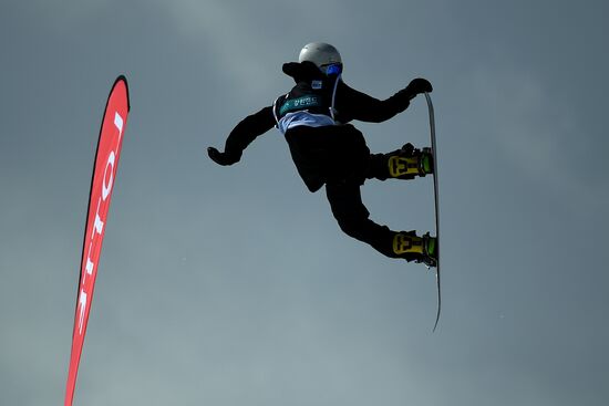 Snowboarding. Men. Halfpipe. Qualification