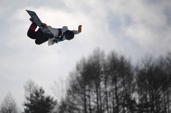 Snowboarding. Men. Halfpipe. Qualification