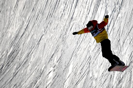 Snowboarding. Men. Halfpipe. Qualification