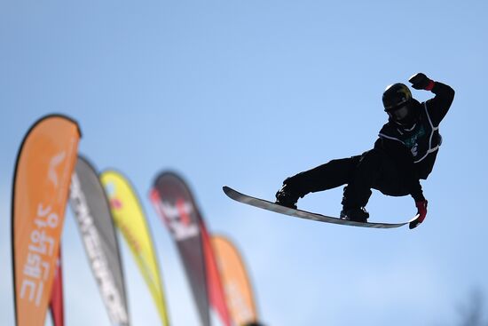 Snowboarding. Men. Halfpipe. Qualification