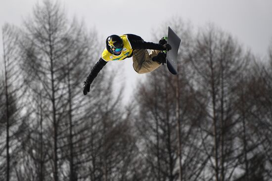 Snowboarding. Men. Halfpipe. Qualification
