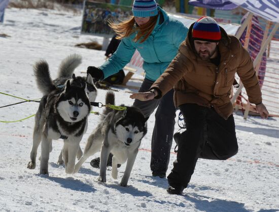Dogsled competition in Primorye Territory