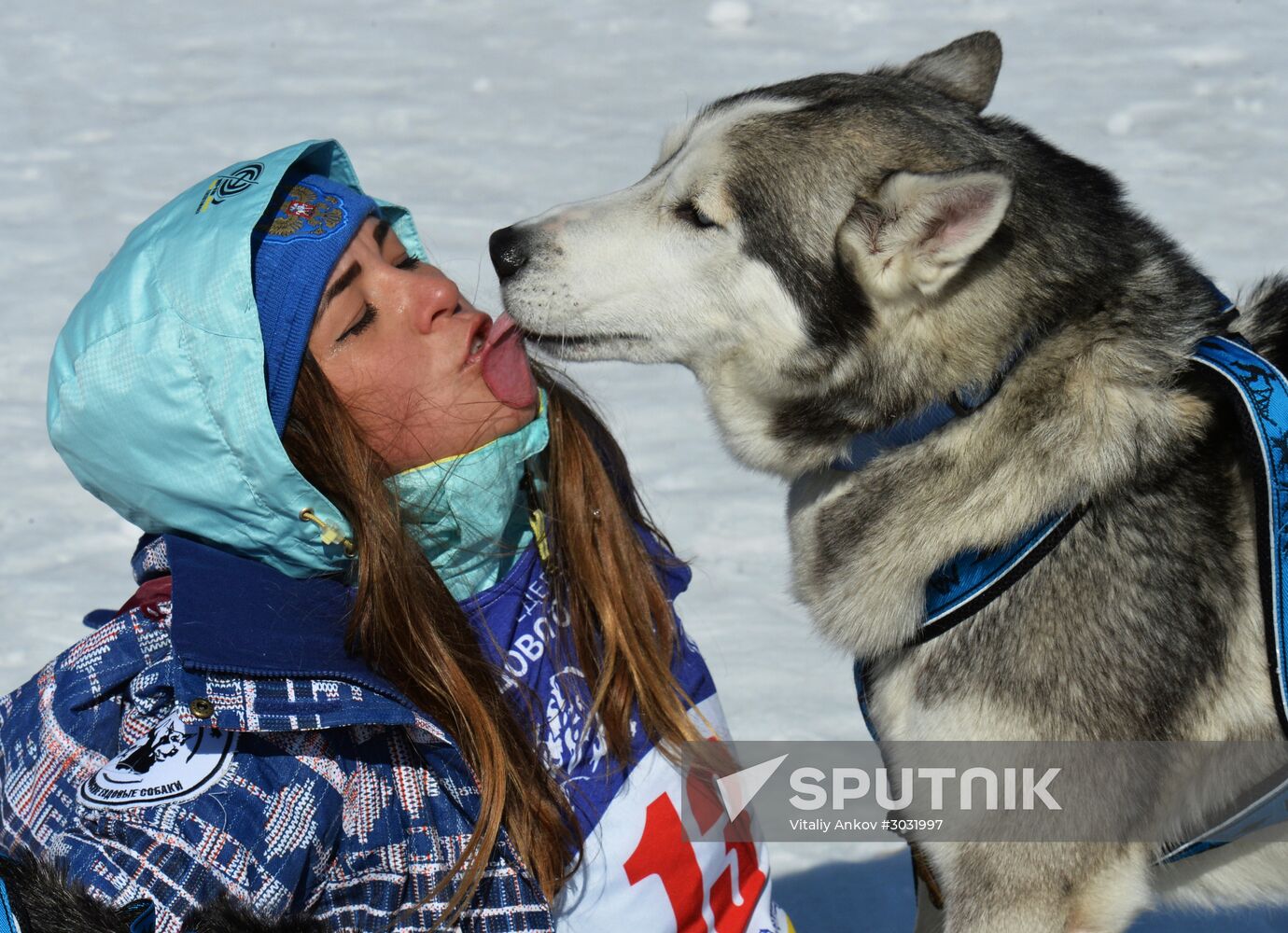 Dogsled competition in Primorye Territory