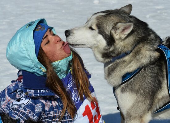 Dogsled competition in Primorye Territory