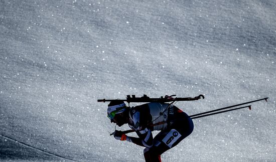 Biathlon World Championships. Men's mass start