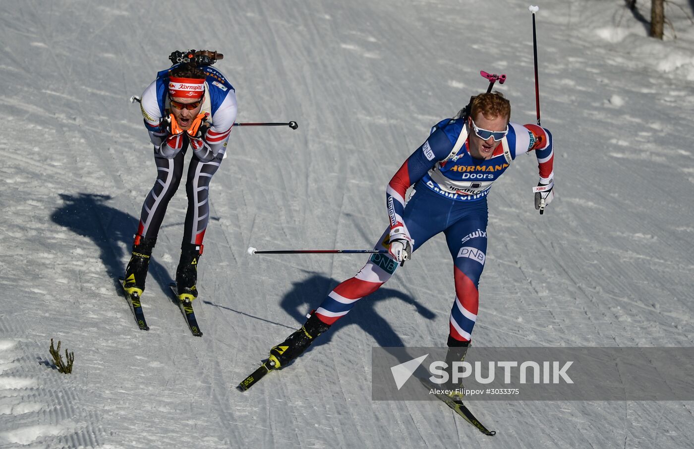 Biathlon World Championships. Men's mass start