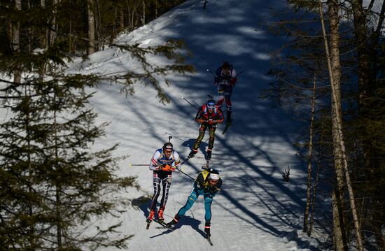 Biathlon World Championships. Men's mass start