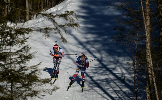 Biathlon World Championships. Men's mass start