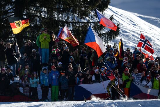 Biathlon World Championships. Men's mass start