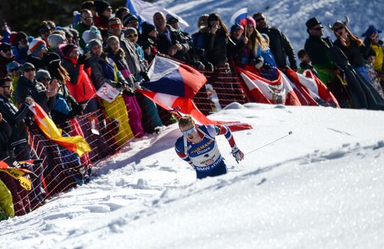 Biathlon World Championships. Men's mass start