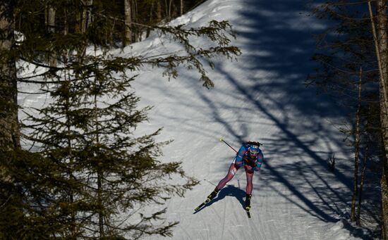 Biathlon World Championships. Men's mass start